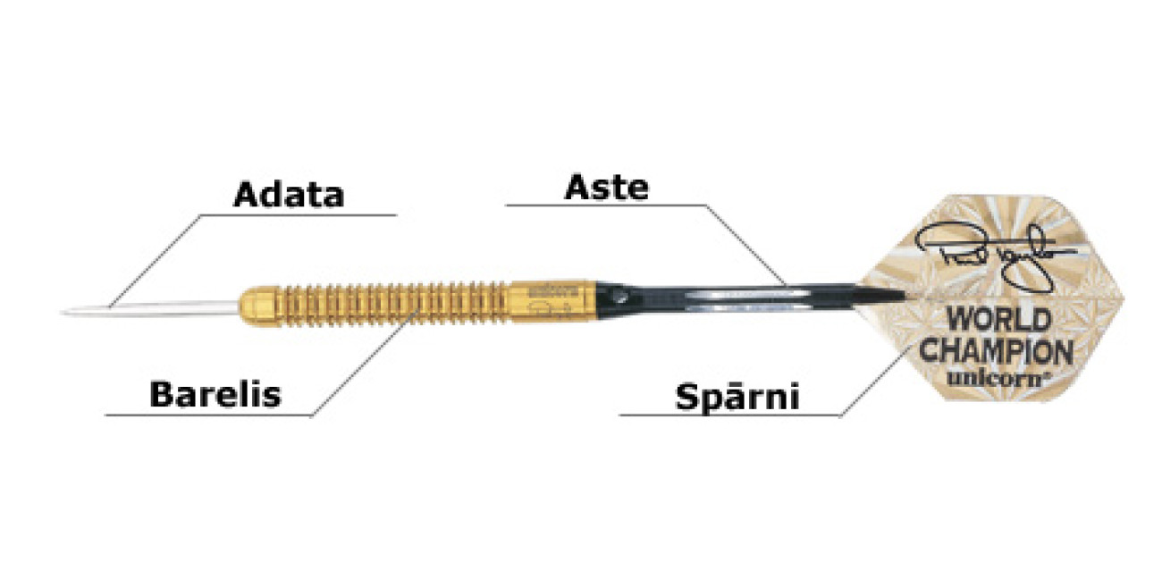 Ar ko sākt? Ar ko sākt?