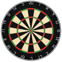 NPQ Dartboard